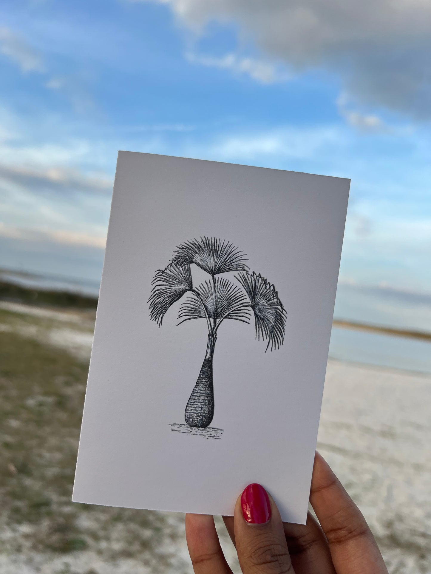 Palm tree greeting card